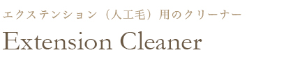 Extension Cleaner